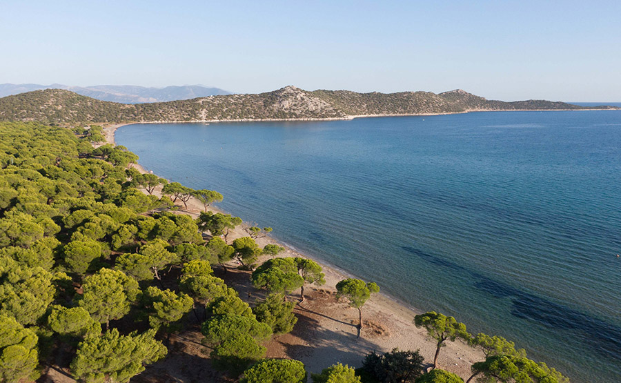 Discovering the best beaches of Athens