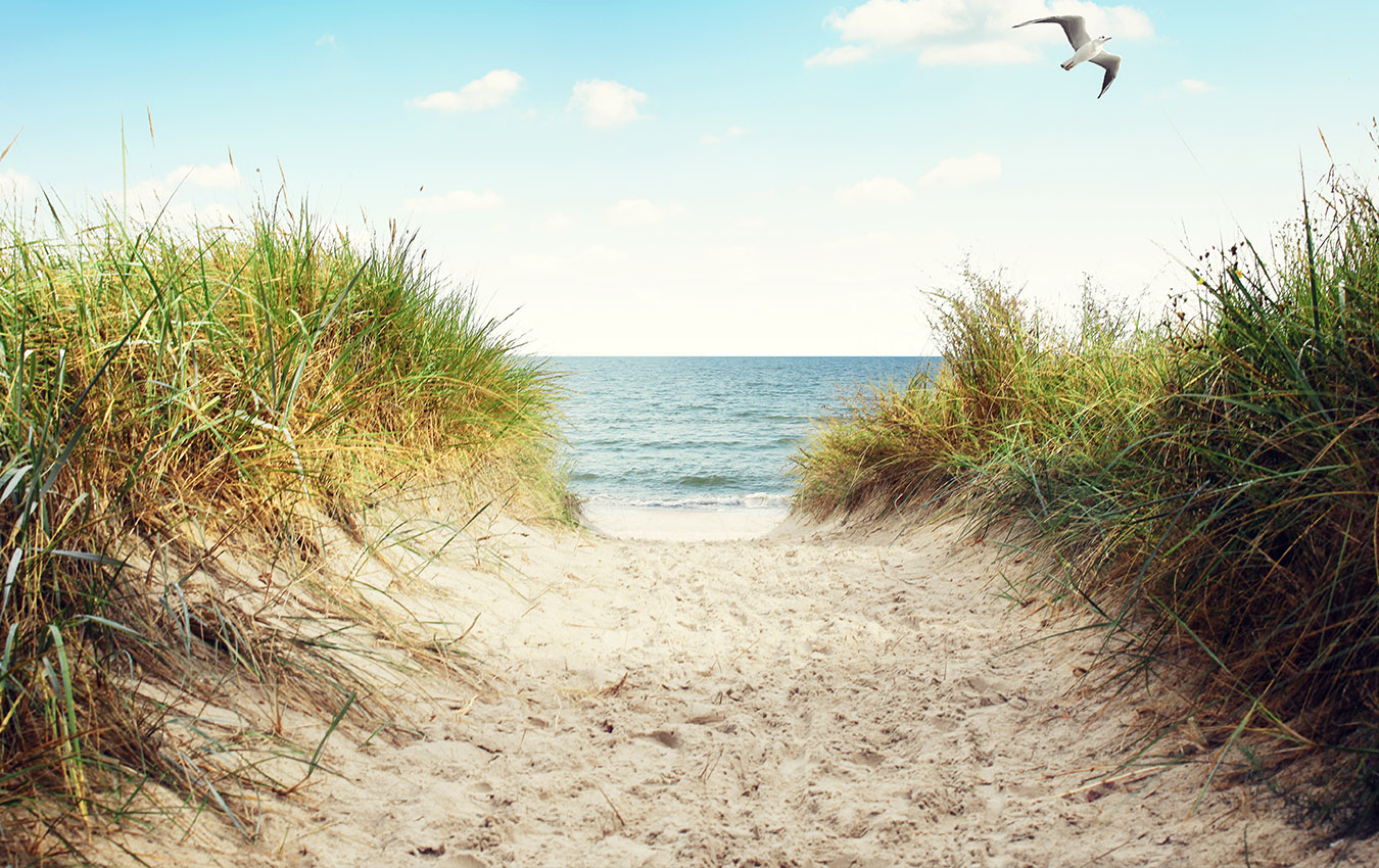 Hiking and exploring in Athens 