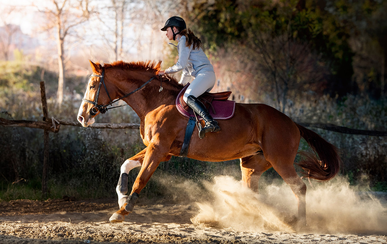 Horse riding in Athens