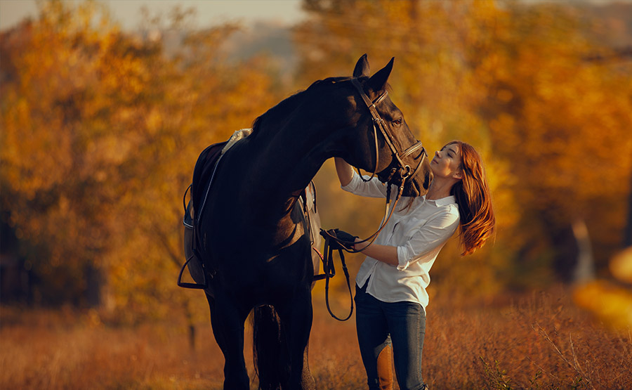 Horse riding in Athens